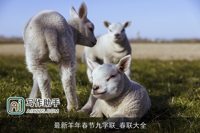 最新羊年春节九字联_春联大全