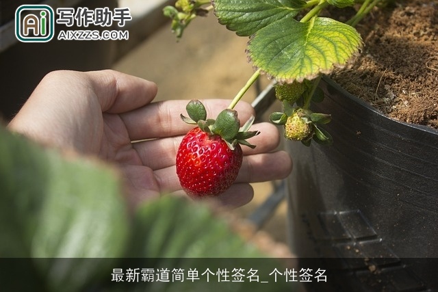 最新霸道简单个性签名_个性签名