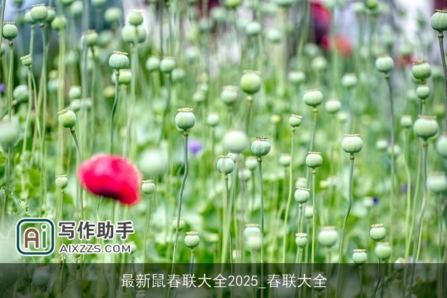 最新鼠春联大全2025_春联大全