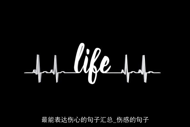 最能表达伤心的句子汇总_伤感的句子