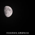月光古诗名句_经典语句大全