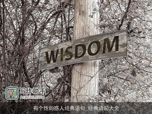 有个性的感人经典语句_经典语句大全