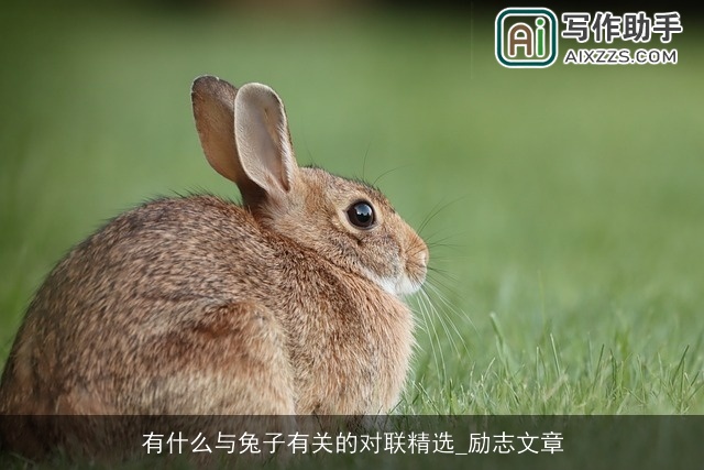 有什么与兔子有关的对联精选_励志文章