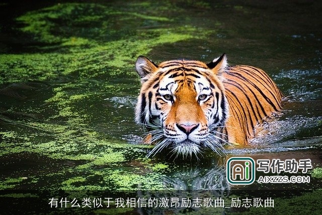 有什么类似于我相信的激昂励志歌曲_励志歌曲