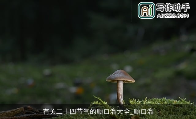 有关二十四节气的顺口溜大全_顺口溜