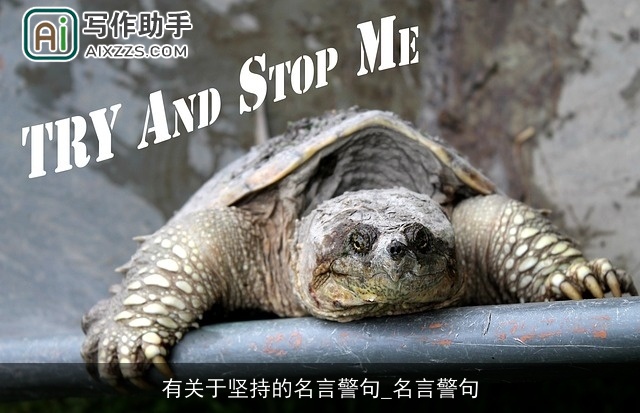 有关于坚持的名言警句_名言警句