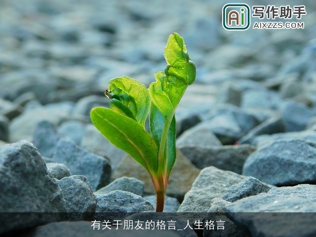 有关于朋友的格言_人生格言
