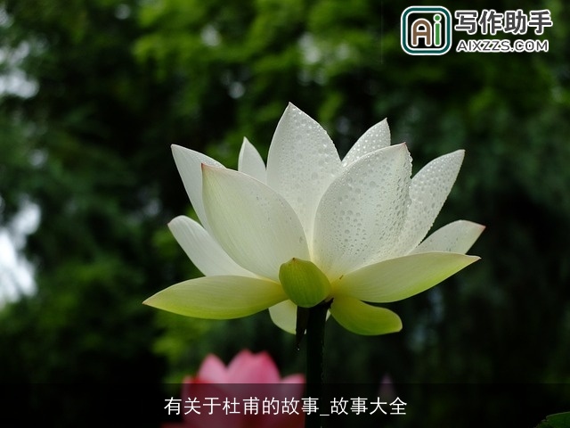 有关于杜甫的故事_故事大全