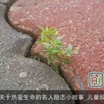 有关于热爱生命的名人励志小故事_儿童故事