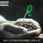 有关人生态度的谚语有哪些_谚语大全