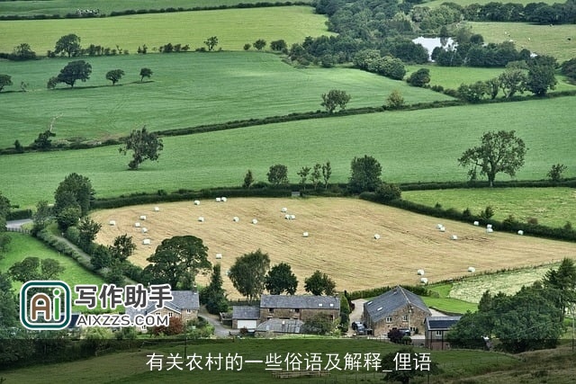 有关农村的一些俗语及解释_俚语