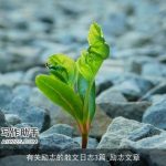 有关励志的散文日志3篇_励志文章