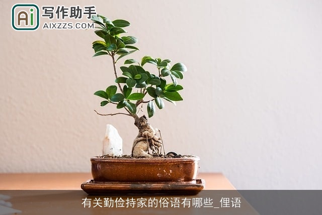 有关勤俭持家的俗语有哪些_俚语