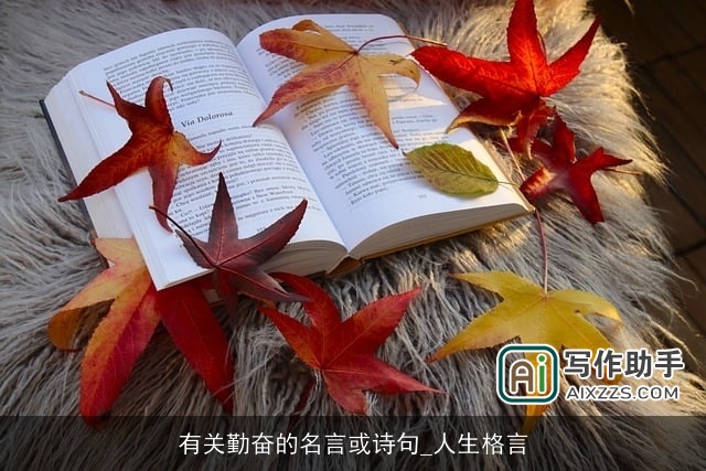 有关勤奋的名言或诗句_人生格言