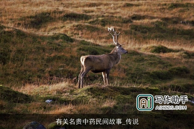 有关名贵中药民间故事_传说