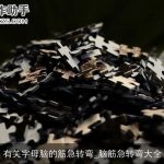 有关字母脑的筋急转弯_脑筋急转弯大全