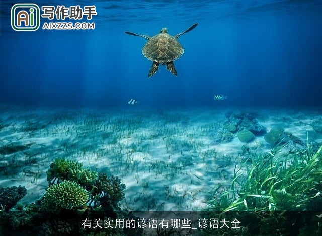 有关实用的谚语有哪些_谚语大全