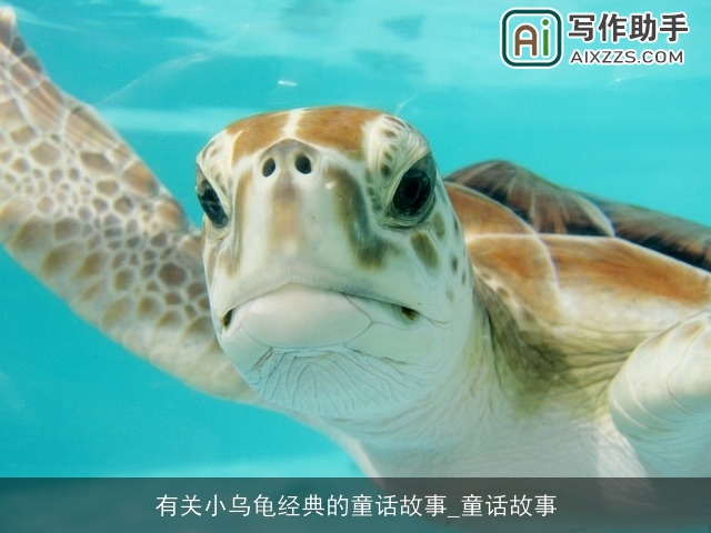 有关小乌龟经典的童话故事_童话故事
