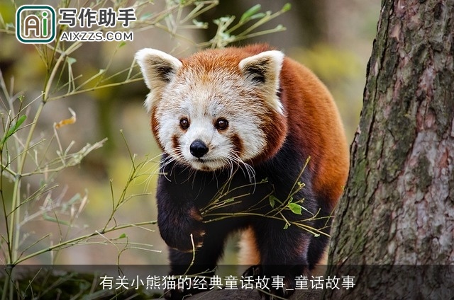 有关小熊猫的经典童话故事_童话故事