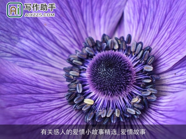 有关感人的爱情小故事精选_爱情故事