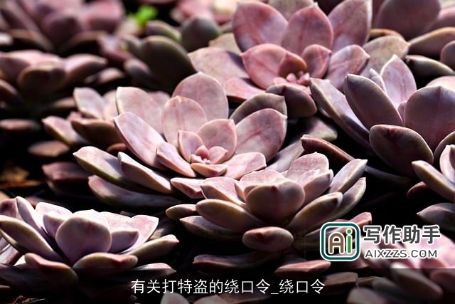 有关打特盗的绕口令_绕口令