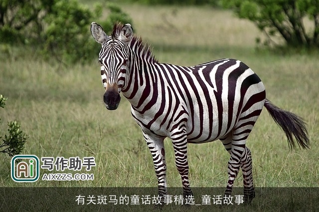 有关斑马的童话故事精选_童话故事