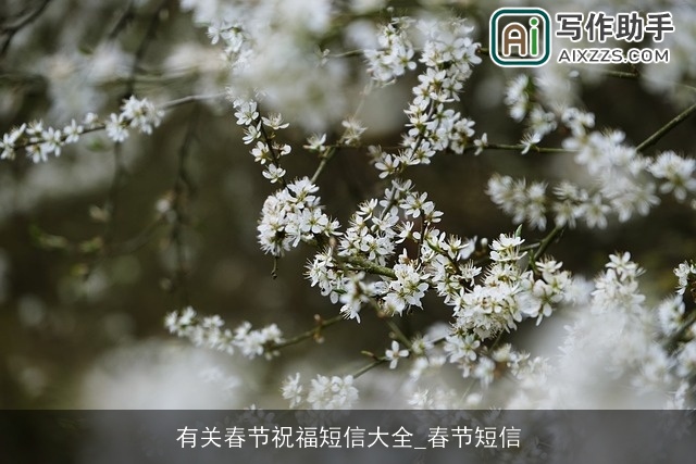 有关春节祝福短信大全_春节短信