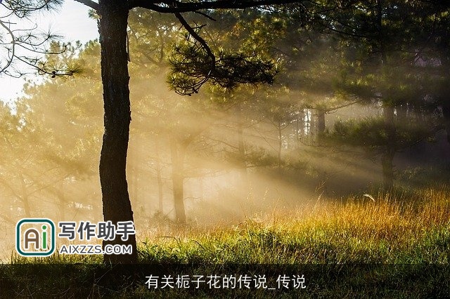 有关栀子花的传说_传说