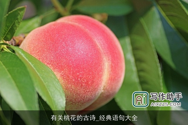 有关桃花的古诗_经典语句大全