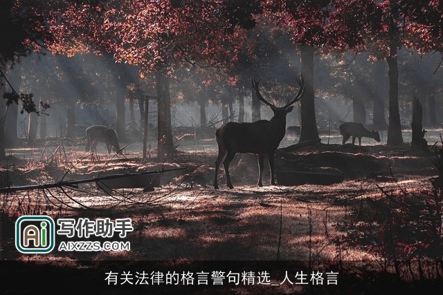 有关法律的格言警句精选_人生格言