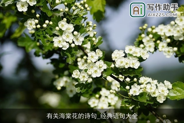 有关海棠花的诗句_经典语句大全