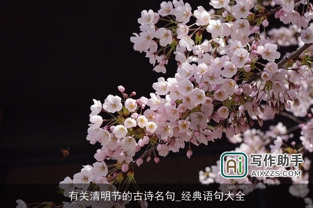 有关清明节的古诗名句_经典语句大全