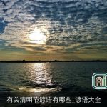 有关清明节谚语有哪些_谚语大全