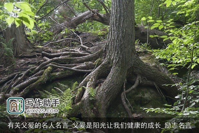 有关父爱的名人名言_父爱是阳光让我们健康的成长_励志名言