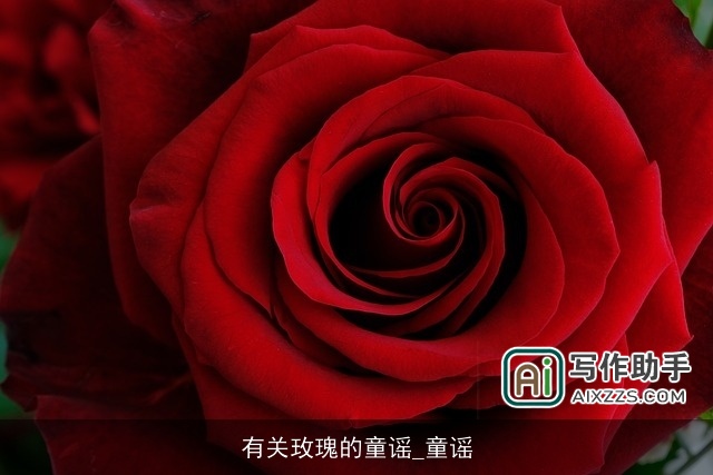 有关玫瑰的童谣_童谣