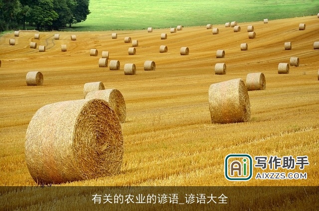 有关的农业的谚语_谚语大全