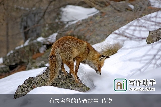 有关盗墓的传奇故事_传说