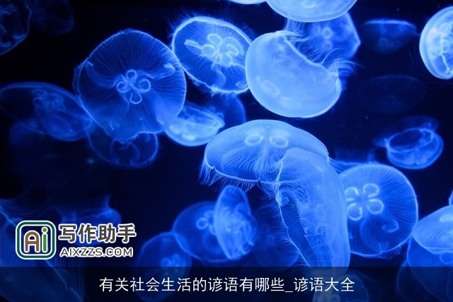 有关社会生活的谚语有哪些_谚语大全