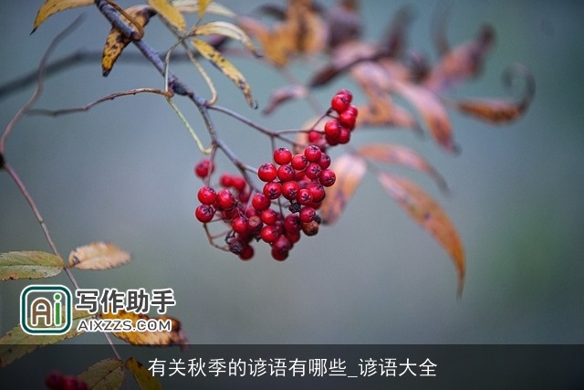 有关秋季的谚语有哪些_谚语大全