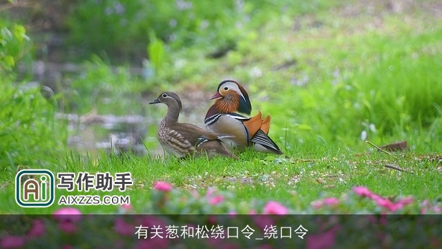 有关葱和松绕口令_绕口令