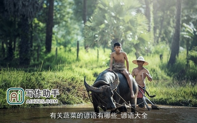 有关蔬菜的谚语有哪些_谚语大全