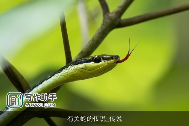 有关蛇的传说_传说