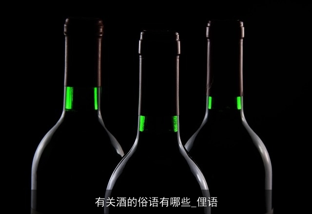 有关酒的俗语有哪些_俚语