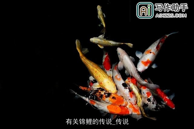 有关锦鲤的传说_传说