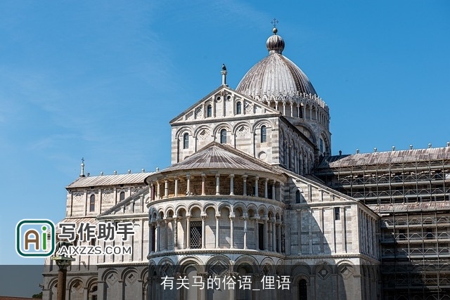 有关马的俗语_俚语