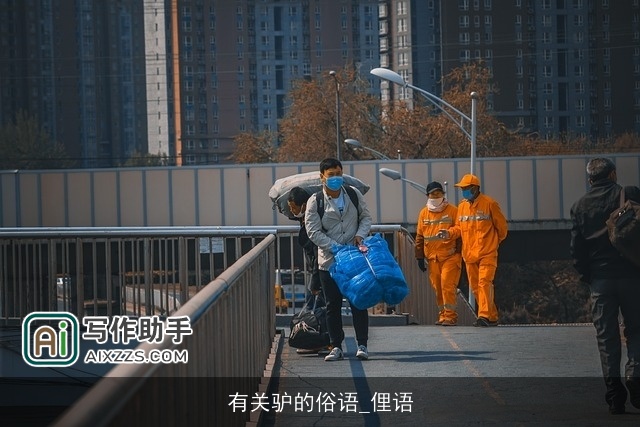 有关驴的俗语_俚语