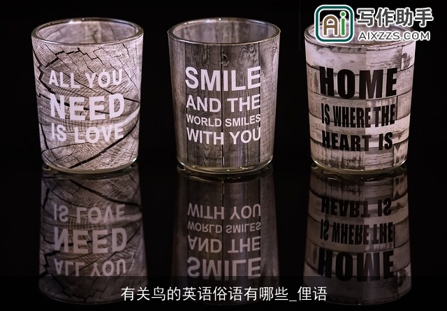 有关鸟的英语俗语有哪些_俚语