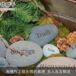 有勇气正视无情的真理_名人名言精选