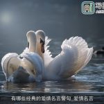 有哪些经典的爱情名言警句_爱情名言