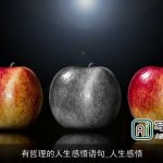 有哲理的人生感悟语句_人生感悟